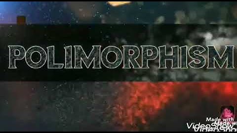 Easy to learn the POLYMORPHISM | C++ | TAMIL | CPP PL |