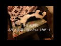 THE ALFEE もう一度君に逢いたい(カバー)