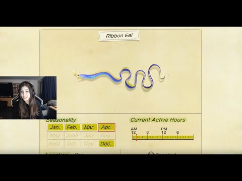 How To Catch A Ribbon Eel In Animal Crossing New Horizons Southern Hemisphere Youtube