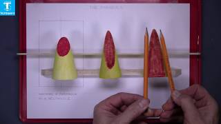 Download Lagu The Parabola MP3