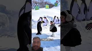 #penguin #penguinanimation #shortviral #shortsfeed