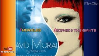 SOPHIE & THE GIANTS Shut Up And Dance .. DAVID MORALES How Would You Feel .. REMAKE MASHUP