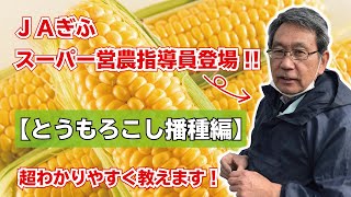 スーパー営農指導員が超わかりやすく教える!!【家庭菜園 とうもろこし播種編】