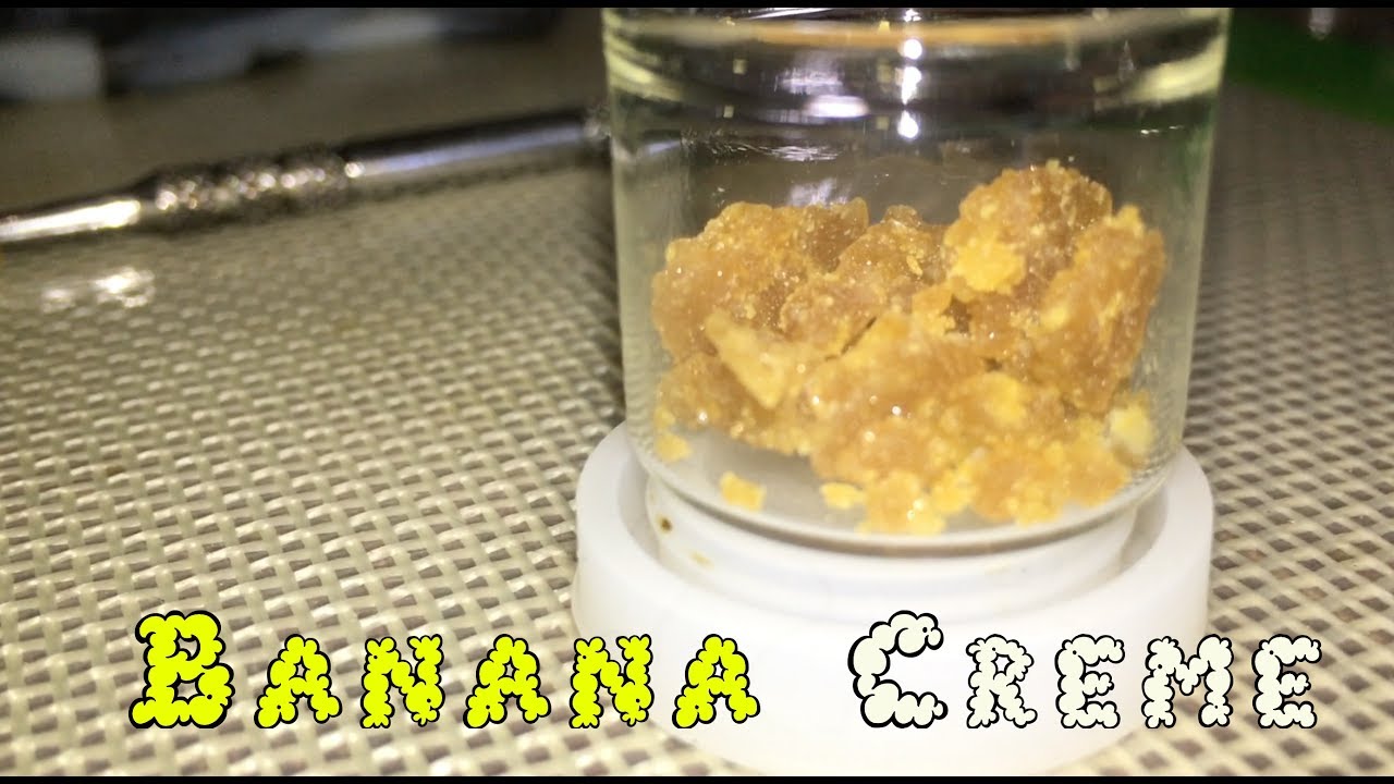 Banana Creme Top Strains i 502 Wax Review YouTube