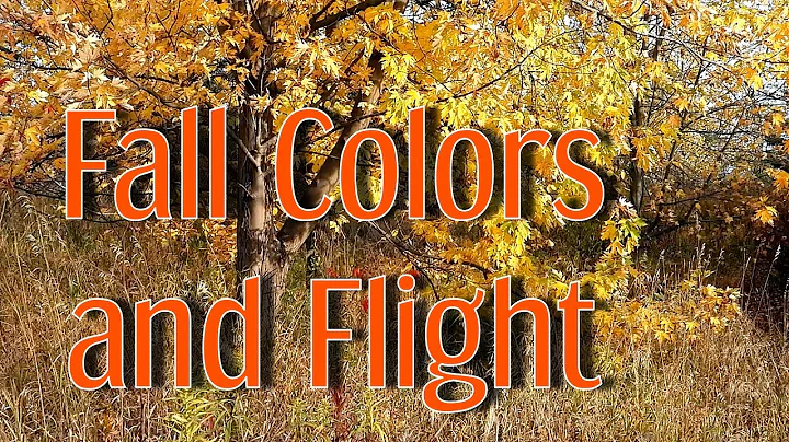 Fall Colors and Flight