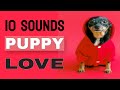 10 sounds puppy love the most