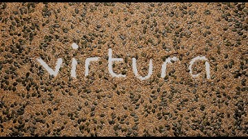 virtura™ Range - Natural Texturisers  - Ulrick & Short