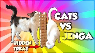 CATS vs JENGA with hidden treat!