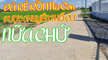 Bán Đất lúa rẻ mà được chuyển thổ cư nữa Chứ xã tân ân cần đước Long An Mặt tiền đường GTNT