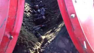 How to plant Peonies... - Planting Peonies by GPS will be the future - www.peonyshop.com