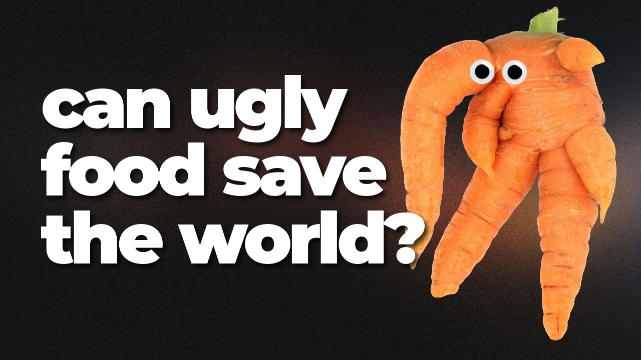 Upcycled Food: Closing the Loop on Waste and Building a Smarter Food System