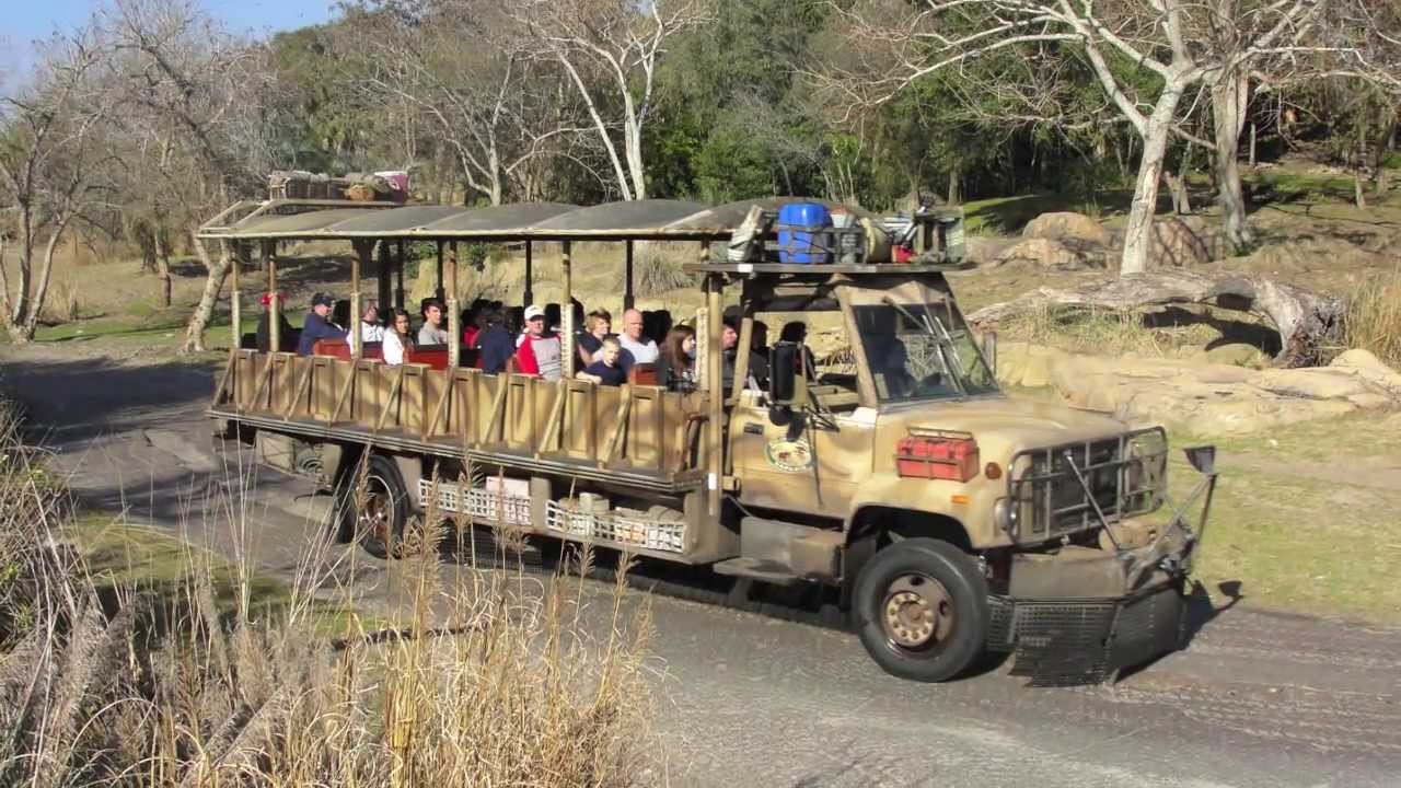 starlight safari vs wild africa trek