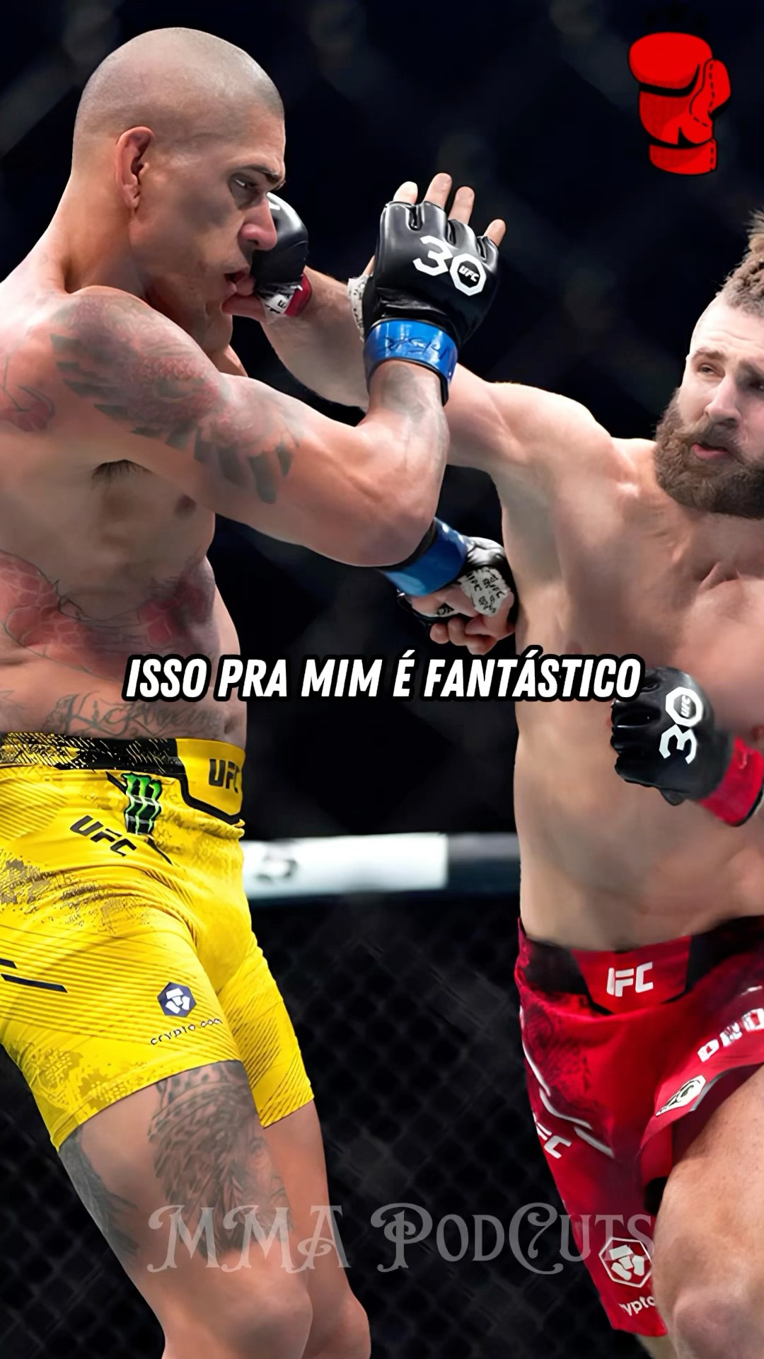 ALEX POATAN CAMPEÃO DE DUAS CATEGORIAS #mma #luta #boxe #ufc #foryou #shortsfeed #brasil