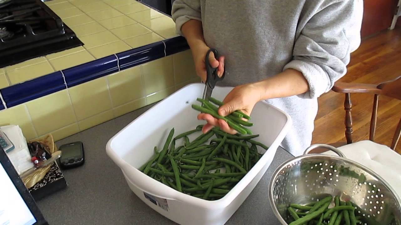 string bean dog treat 002