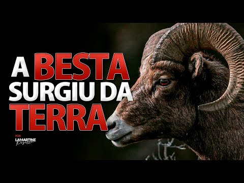 Vídeo: Qual é O Segredo Das Portas Do Templo Padmanabhaswamy Seladas Com O Sinal Da Serpente? - Visão Alternativa