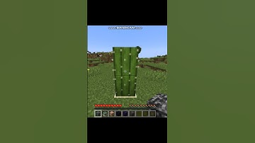 Cactus 💀 #kingbrine #minecraft #short #shorts #like #subscribe #youtube #views #comment #cactus