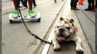 Trending Tech: Are Hoverboards Illegal?
