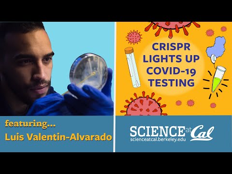 CRISPR Lights Up COVID-19 Testing: Featuring Luis Valentin-Alvarado