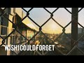 WISH I COULD FORGET/ストレイテナー