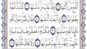 595❤كذبت ثمود بطغواها❤ مصحف داوود بالتهجي والتجويد-مقاطع❤
