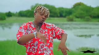 Baba levo ft diamond platnumz shusha (official video)