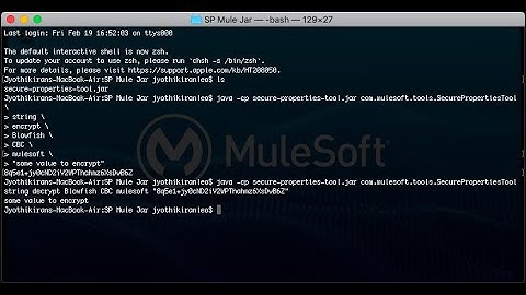 MuleSoft Encryption Decryption in Terminal/CMD line with Secure Properties Tool Jar