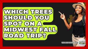 Which Trees Should You Spot On A Midwest Fall Road Trip? - The Midwest Guru