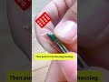 Shielded RJ45 Termination. 🔧