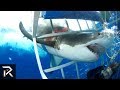 10 TERRRIFYING Shark Encounters Caught On Tape