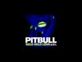 Pitbull Ft. G.R.L. - Wild Wild Love [Official] 2014