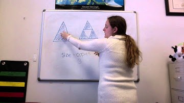 Size and Scale Factor of Fractals