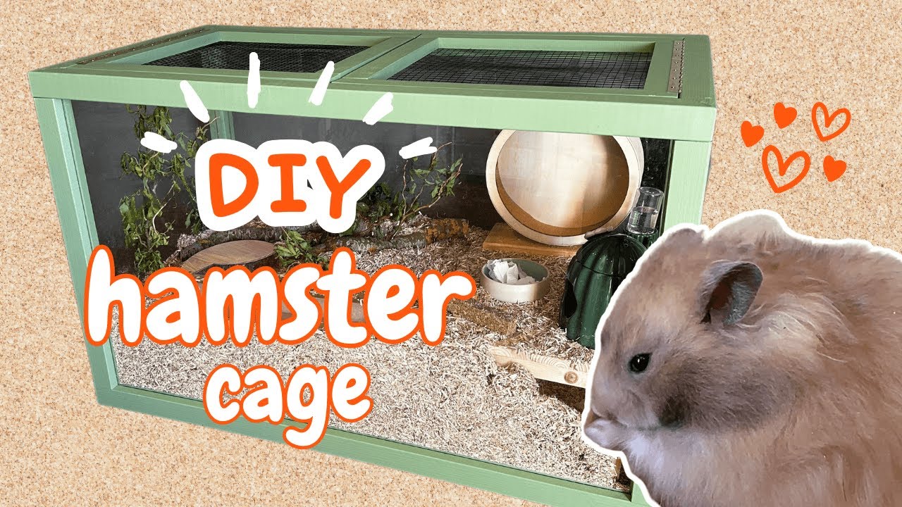 How we built a DIY hamster cage from scratch - YouTube