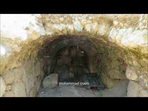 قرية بيت جمال عين النخيل