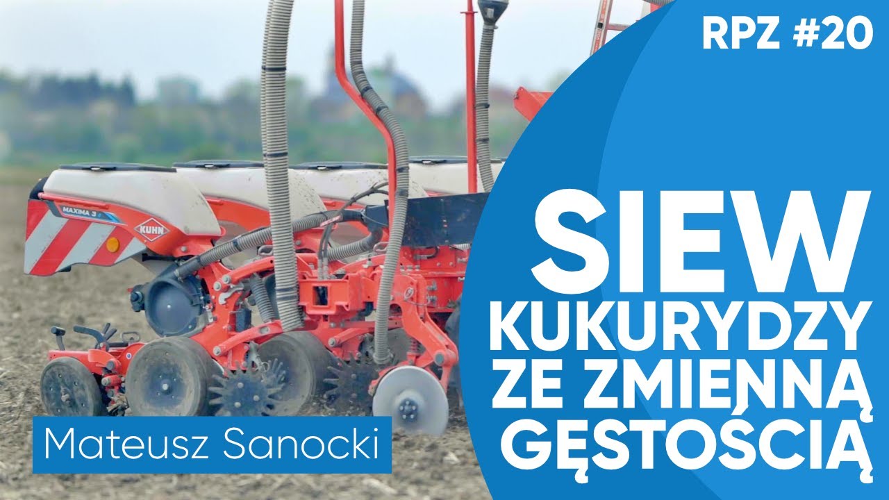 Siew kukurydzy ze zmienną gęstością