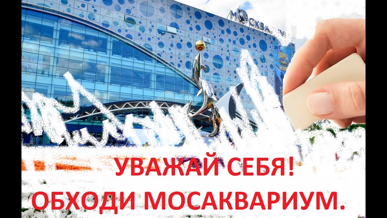 ОТКАЗАЛИ В ПОСЕЩЕНИИ МОСАКВАРИУМА НА ВДНХ - YouTube