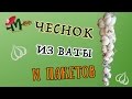 ЧЕСНОК ИЗ ПАКЕТОВ ♛ своими руками ♛ DIY