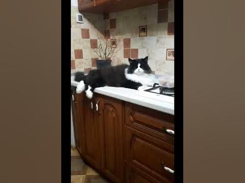 Царь,просто Царь - YouTube