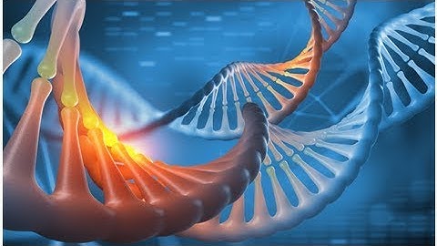 Indian State Government Plans to Store Residents’ DNA Data on a Blockchain