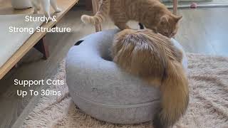 Review CATTASAURUS Peekaboo Cat Cave for Multiple Cats, Large Cats & For Cats Up to 30lbs