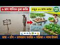 নিচু জমি আর অভিশাপ নয়! ৬ মাস পানিতেও বছরে লাখ টাকা আয়ের সম্পূর্ণ কৌশল দেখুন