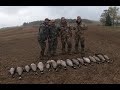 Goose hunting over cut bean field 5 man limit