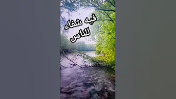 سورة النبأ القاريء محمد علي سليمان راحة نفسية 