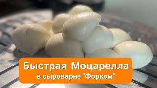 Моцарелла в сыроварне Форком - Рецепт приготовления - Forkom Krasnodar - производственная компания