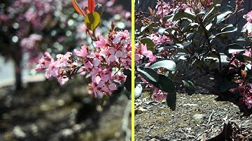 ND Filters with the Panasonic GH2