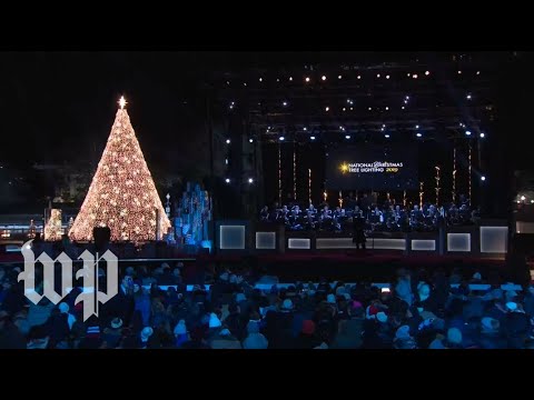 Excerpts from the 2019 National Christmas Tree Lighting Ceremony