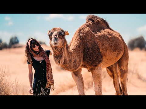 Cafe De Anatolia - Desert Rose (Best Lounge House Mix)