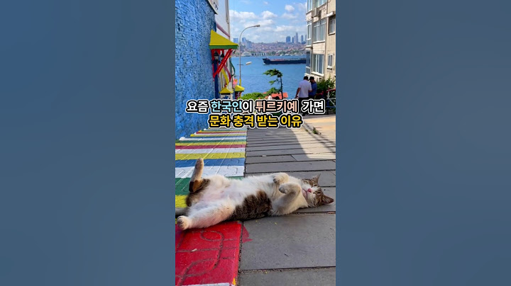 요즘 한국인이 튀르키예 여행가면 무조건 문화충격 받는 이유(유렵여행& 터키여행)