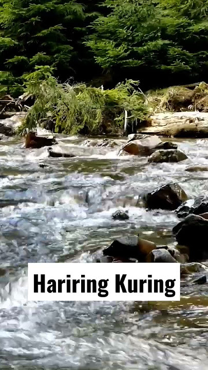 Lagu Sunda Hariring Kuring #alampedesaan #lagusunda