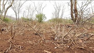 DROOGTE: Suid-Afrikaners mors water