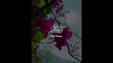 والله يريد أن يتوب عليكم ويريد الذين يتبعون الشهوات أن تميلوا ميلا عظيما | القارئ ياسر الدوسري